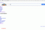 google_bug