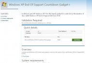 Countdown Gadget