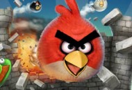 angry-birds245[1]