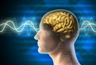 brainwave[1]