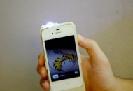 yellow-jacket-stun[1]