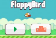 flappybBird1[1]