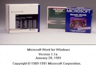 ms-dos-word1-1a[1]